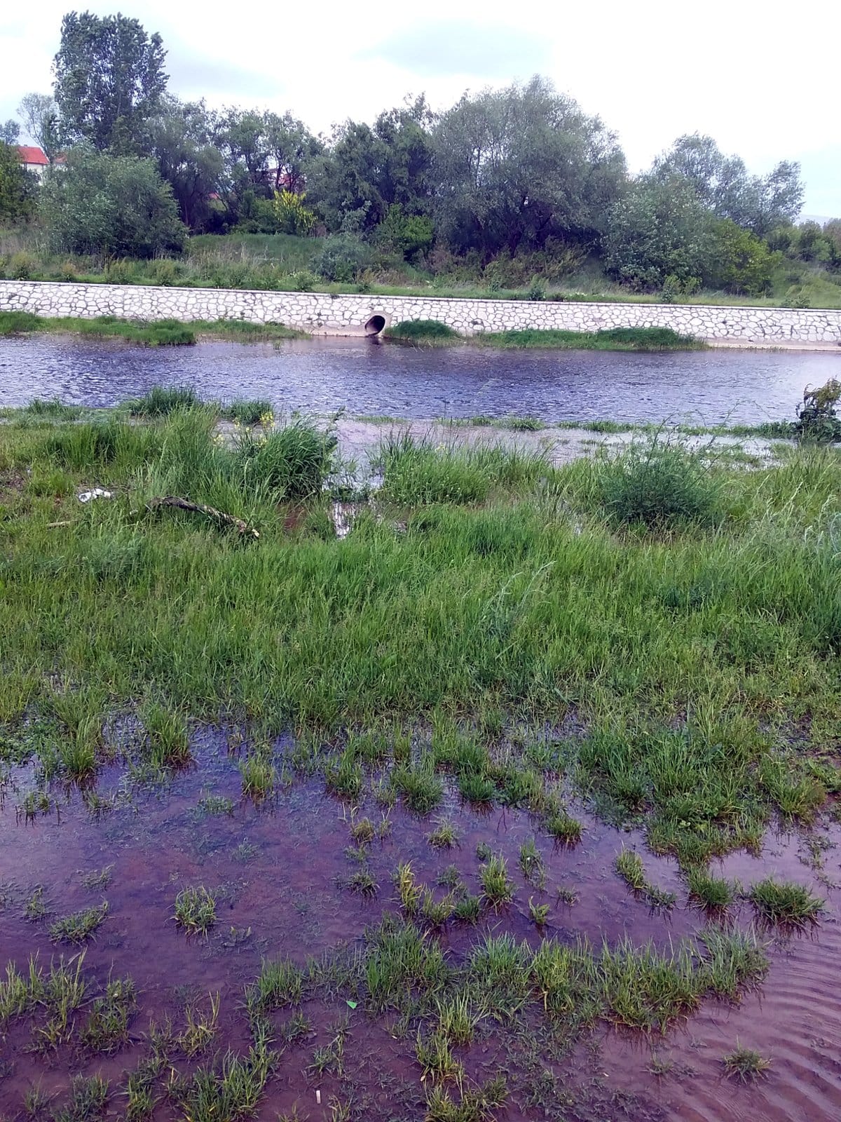 Kej poplava3; foto: citalac-Prijavi problem