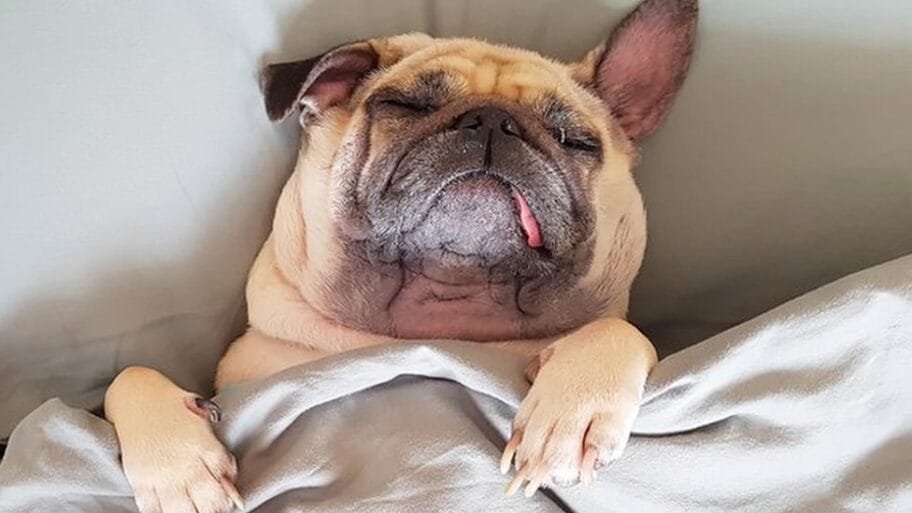 112257407 gettyimages 905087342