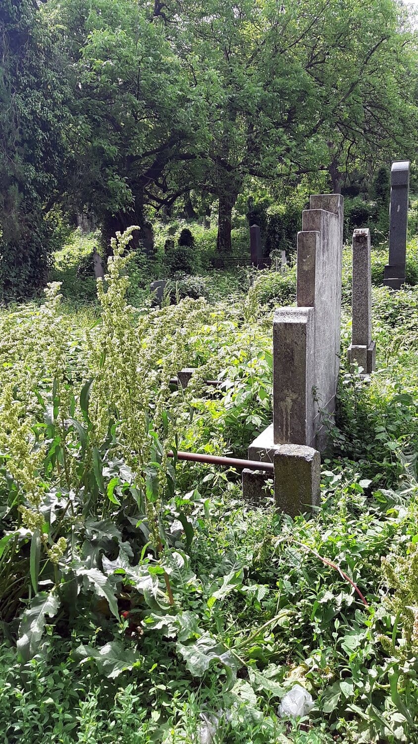 Staro groblje maj 2020; foto: citalac