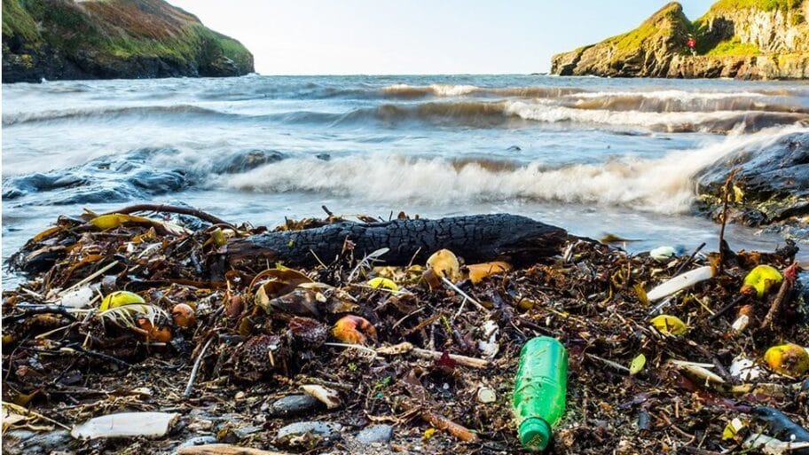 112532709 gettyimages 857001576