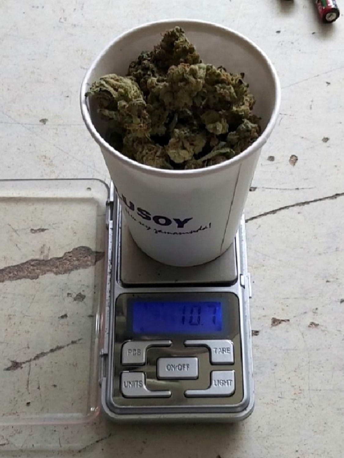 merenje zaplenjene marihuane Gradina