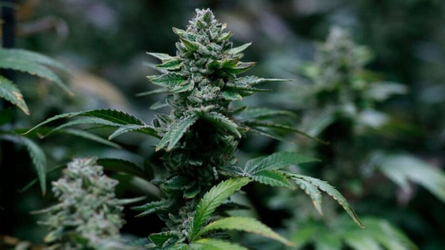 112554543 gettyimages 1206944506