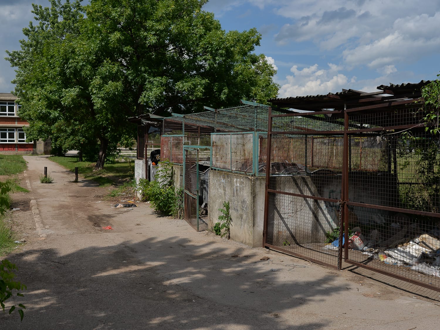 Đubre školsko dvorište jun 2020 foto Južne vesti Vanja Keser1