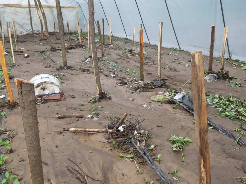 IMG-2aadc983791e57479c3ad1239742253d-V