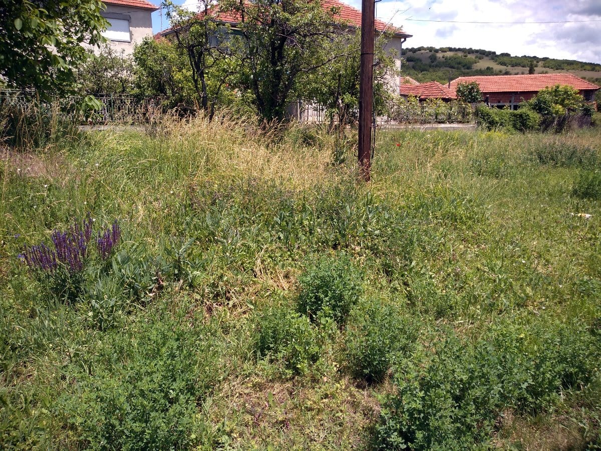 Skola Jasenovik 2; foto: I. N