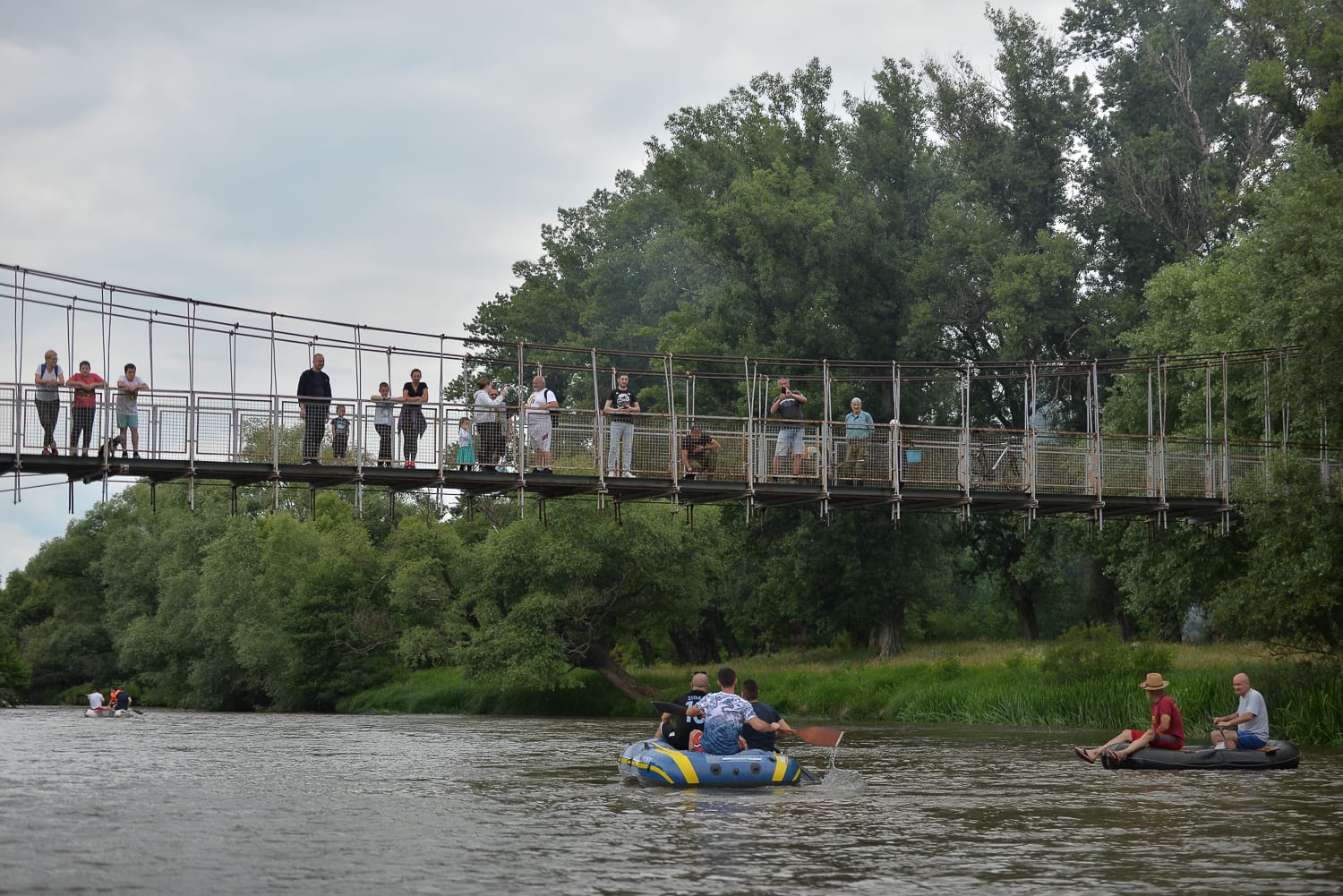 24. Nišavska regata jun 2020 foto Južne vesti Vanja Keser6
