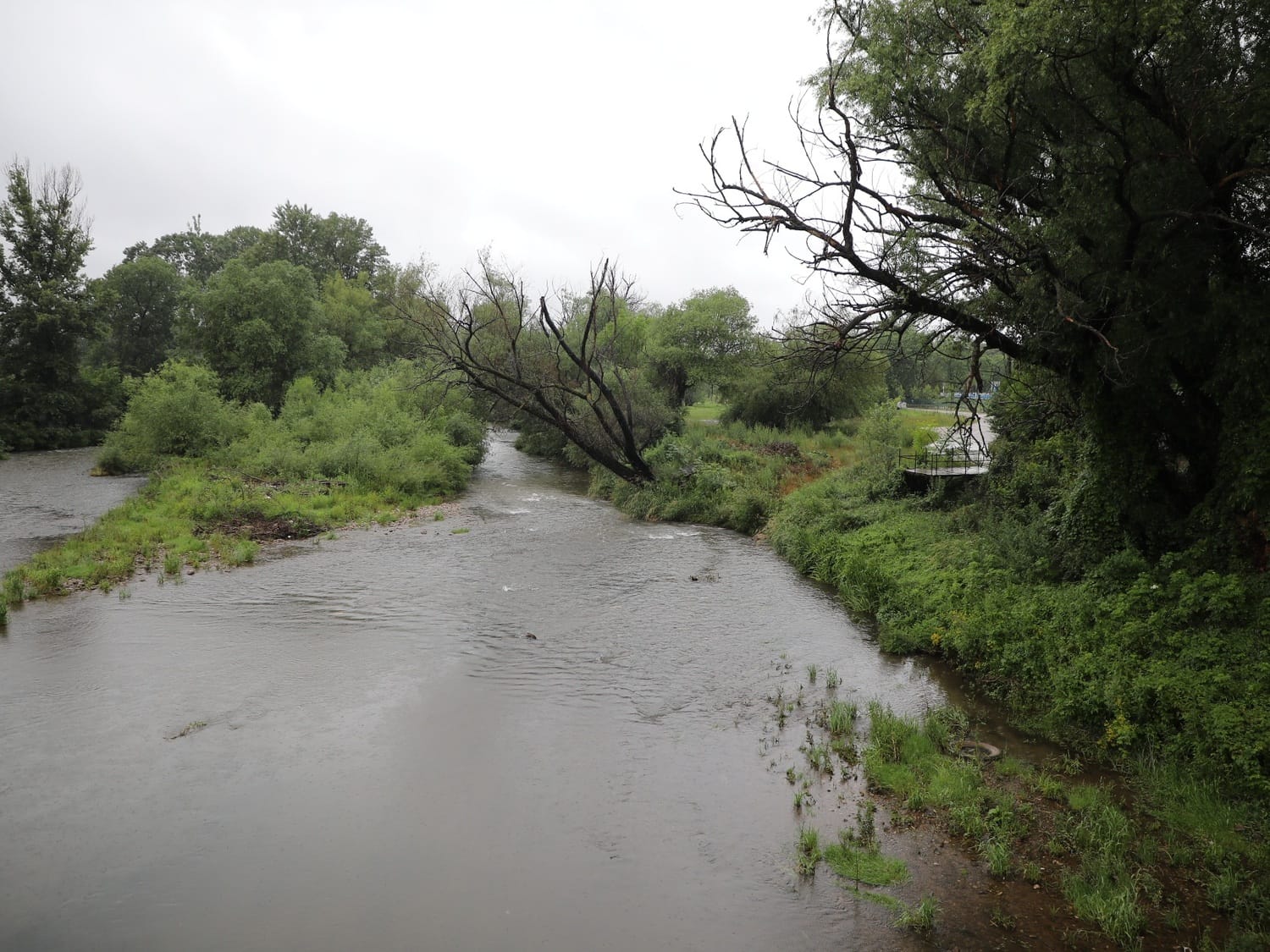 Nisava 3 jun 2020 foto Matija Gacic