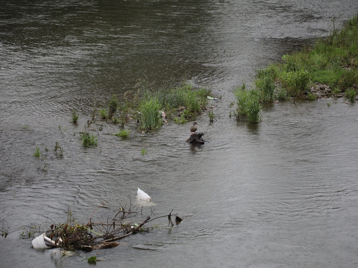 Nisava 4 jun 2020 foto Matija Gacic