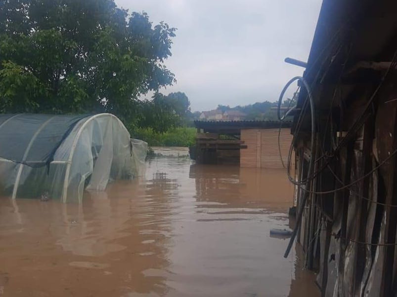 Blace 3 foto citalac