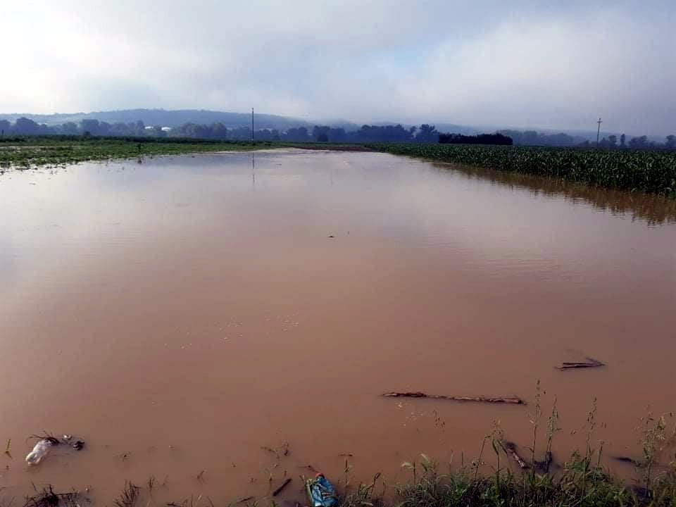 Poplave Doljevac 3; foto: Stefan Stanković