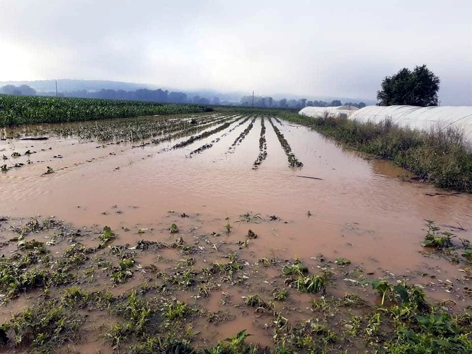 Poplave Doljevac 2; foto: Stefan Stanković
