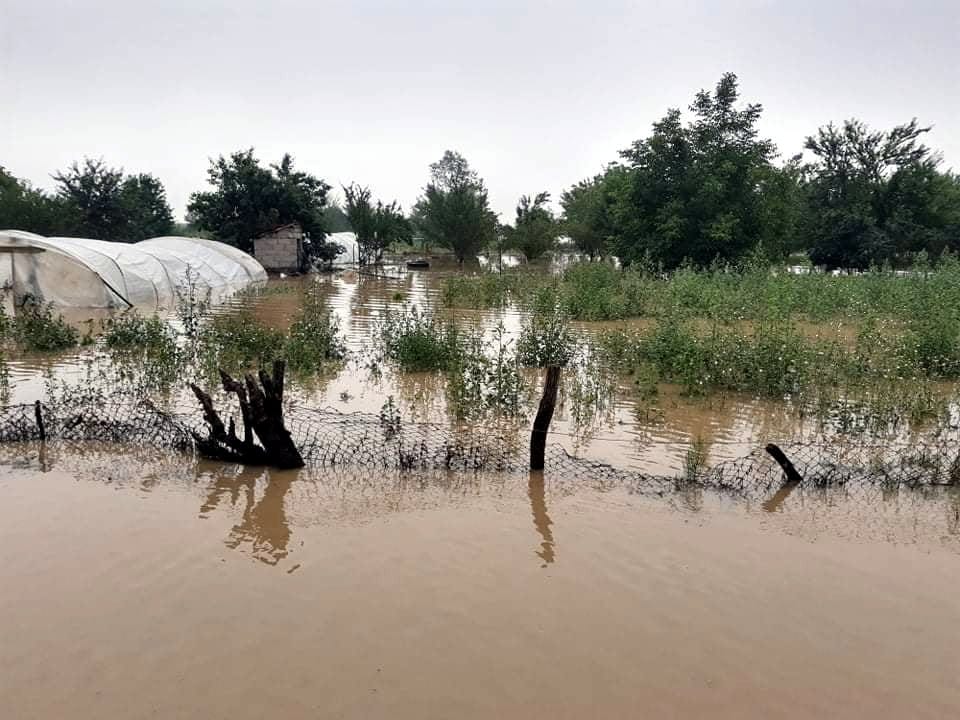 Poplave Doljevac 1; foto: Stefan Stanković
