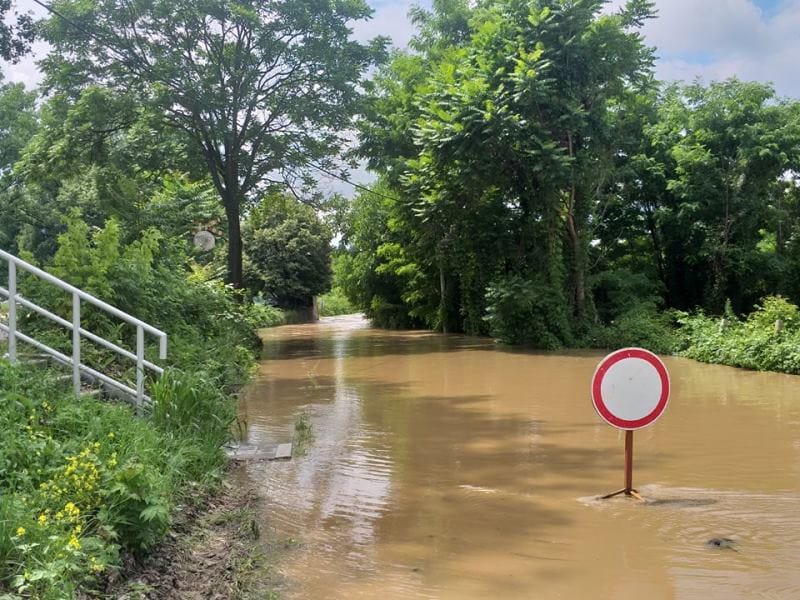 105935692_404274200473256_4237245526119003485_n