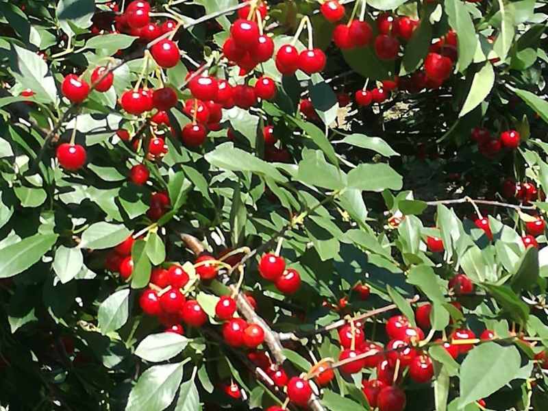 IMG-060d6c38b4859c551e27fcfacb5271c4-V