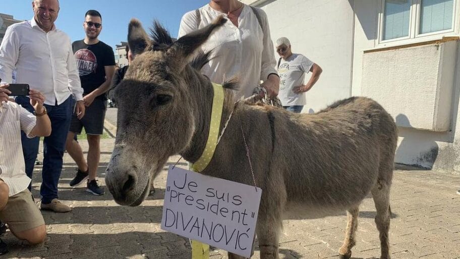 113170581 mediaitem113170580