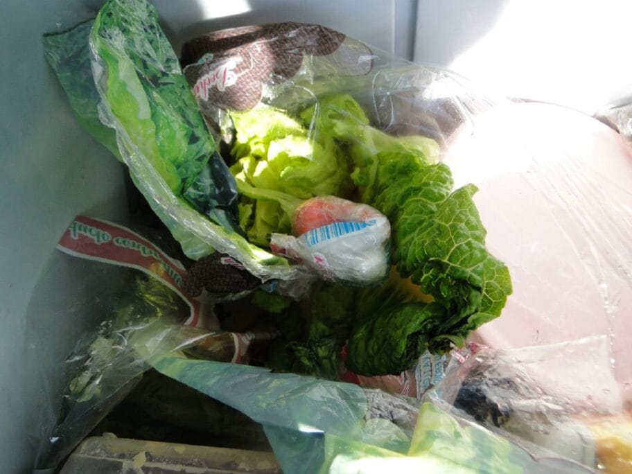 kokain u glavici zelene salate na Gradini