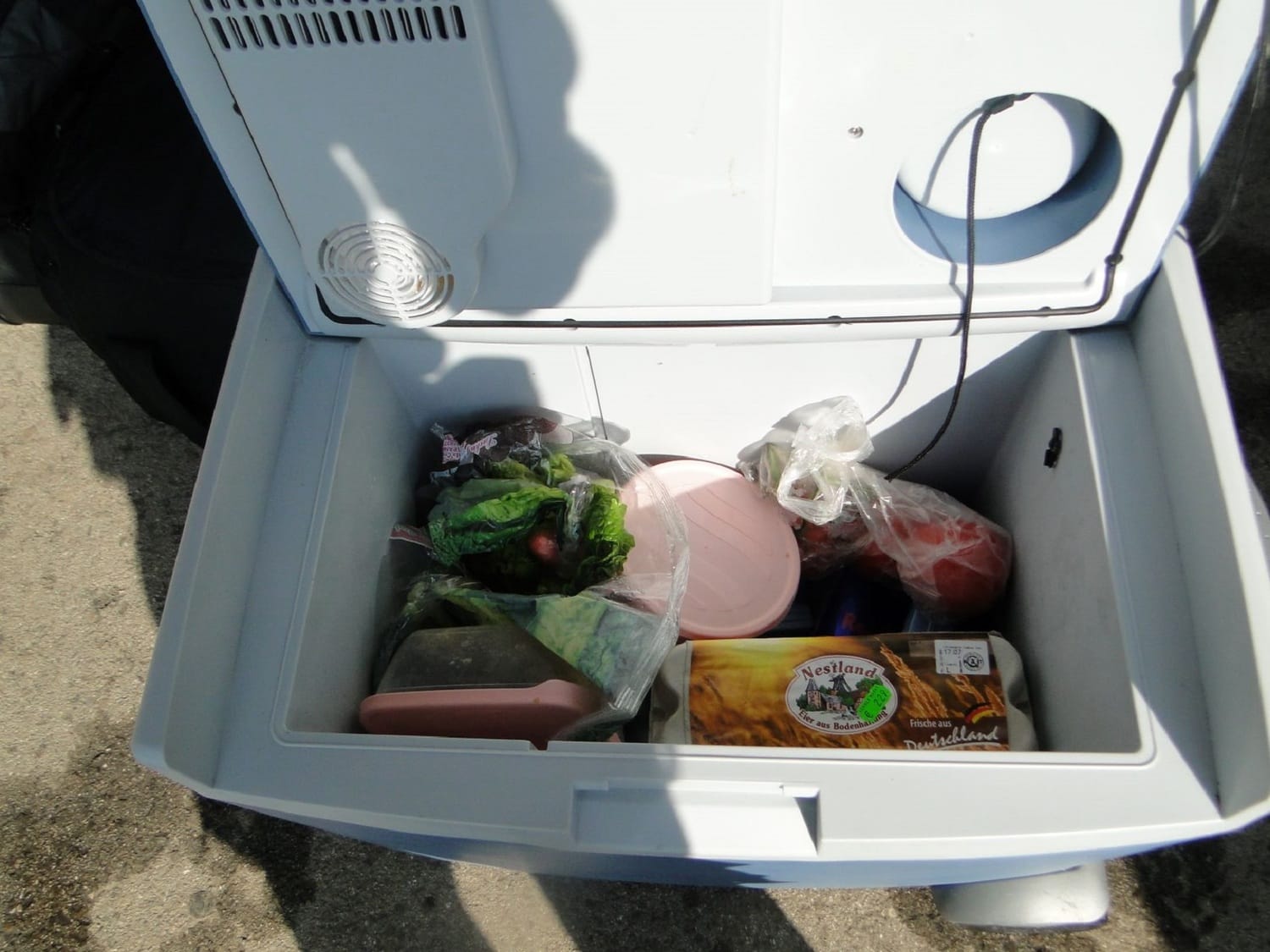 rucni frizider sa salatom i kokainom Gradina 03 07