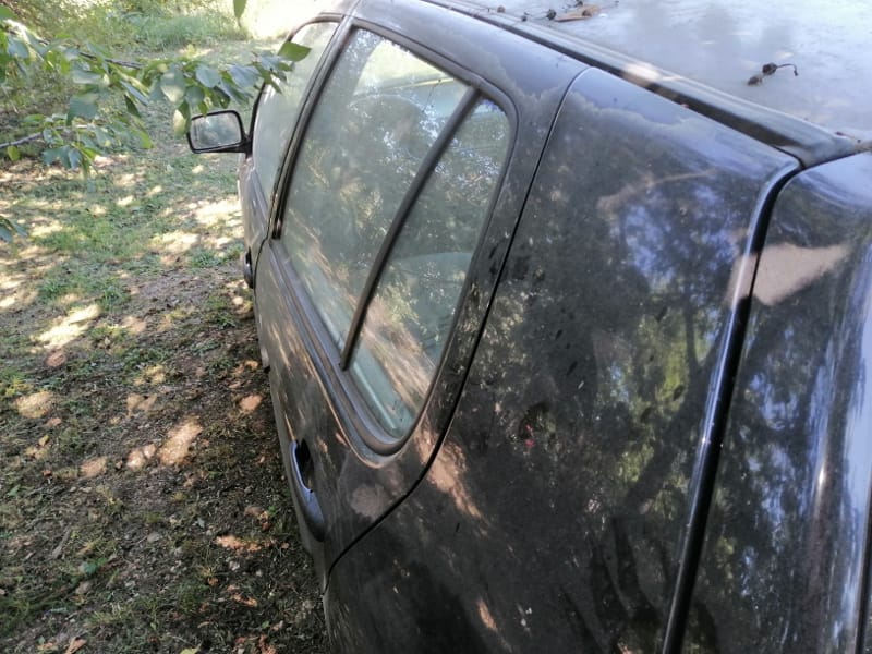 jelasnicki put3 foto citalac