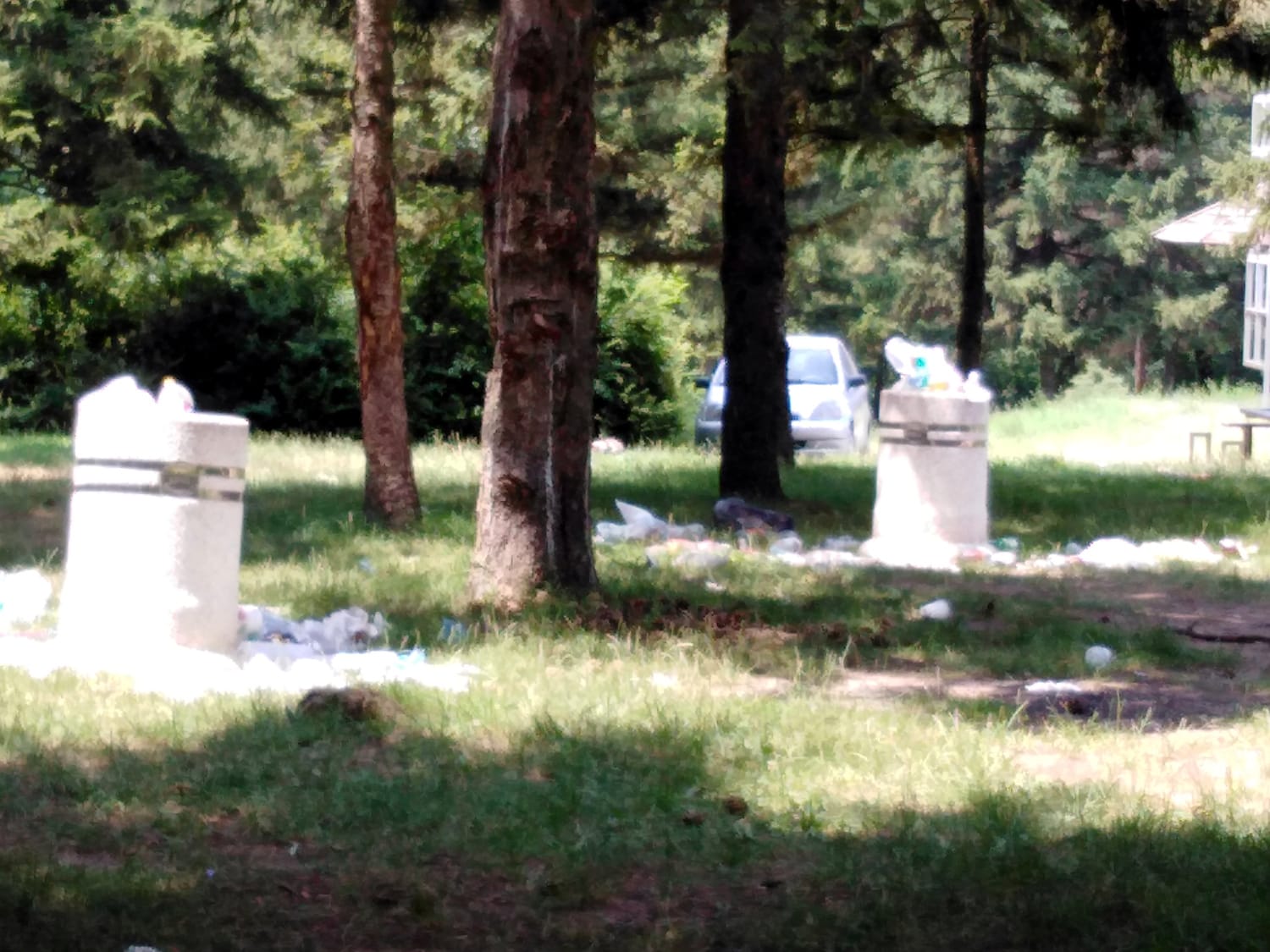 Djubre Bubanj foto citateljka