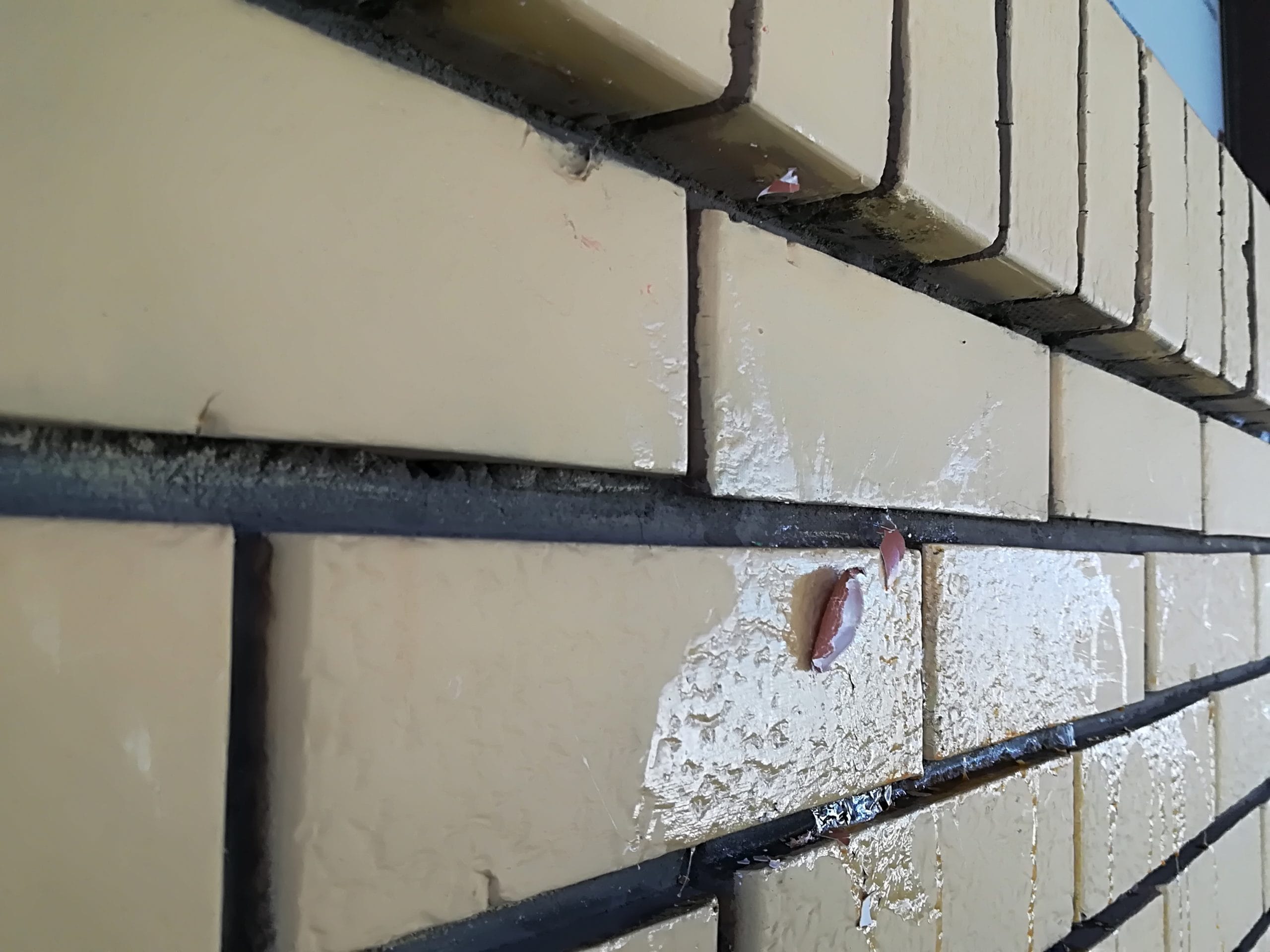 Demoliran lokal SNS protesti 8. jul foto Južne vesti Milica Jovanović2