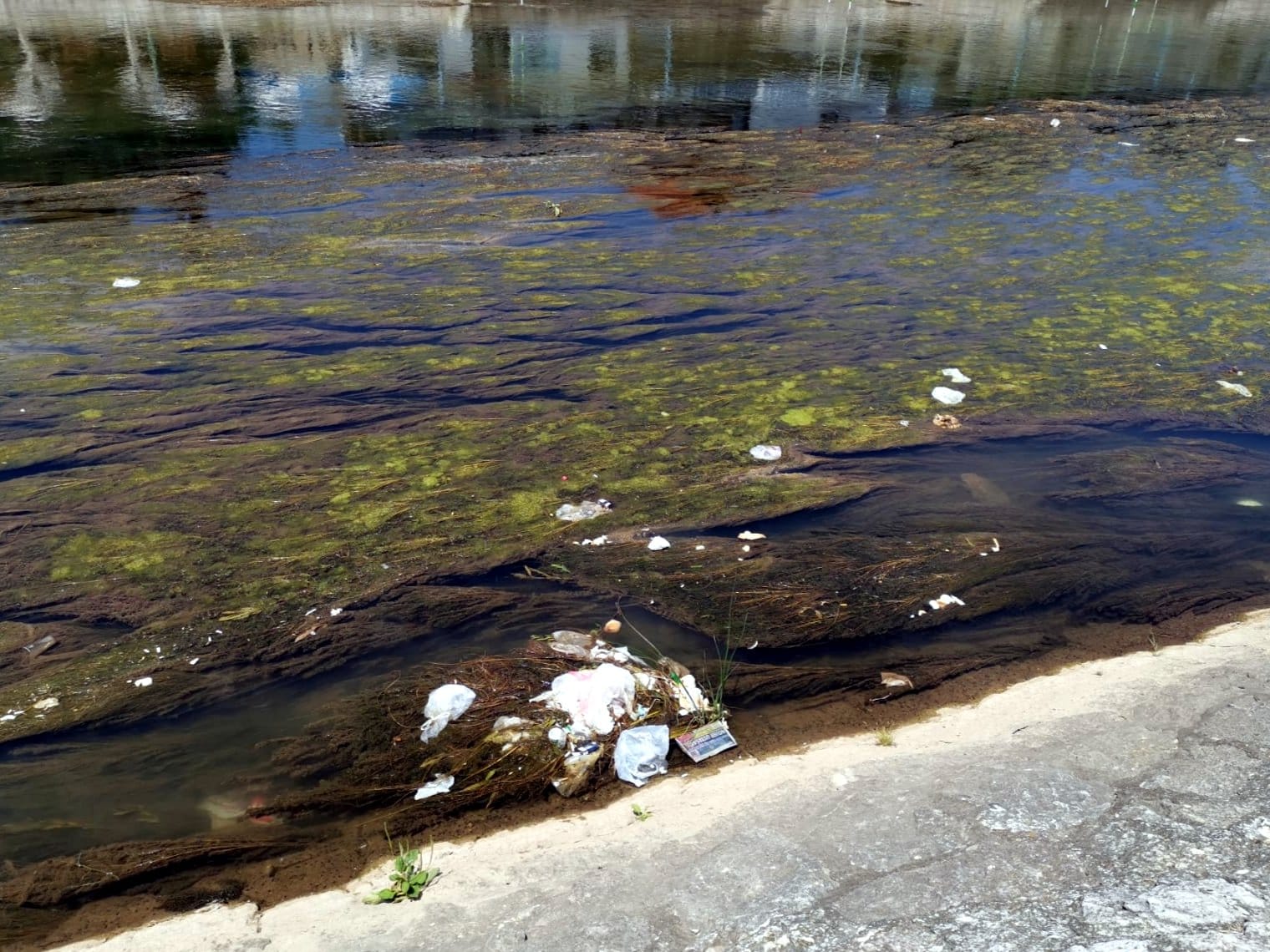 Smece u Nisavi, jul 2020; foto: V. S