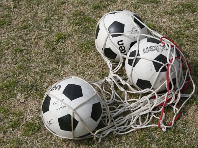 Grad Niš konačno formirao Komisiju za sport, klubovi čekaju uplate 19 1280x0 fudbalska lopta flickr com ari bronstein