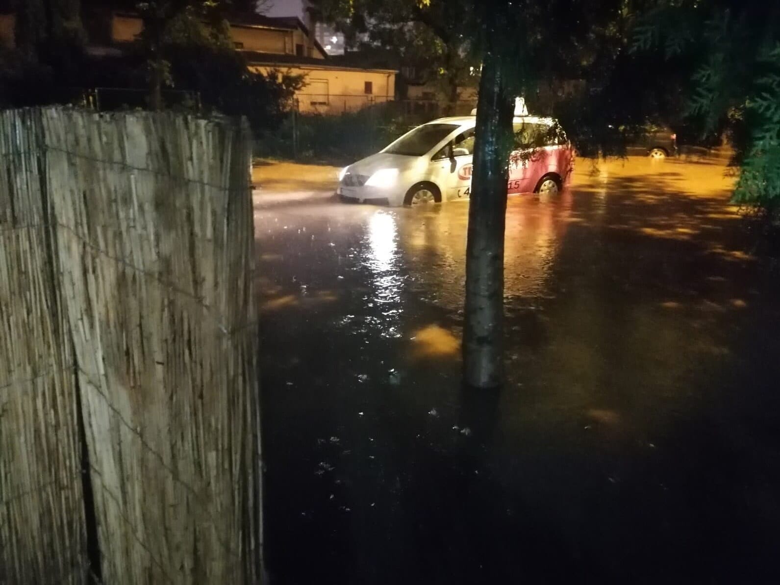 VOJVODE gOJKA FOTO CITALAC