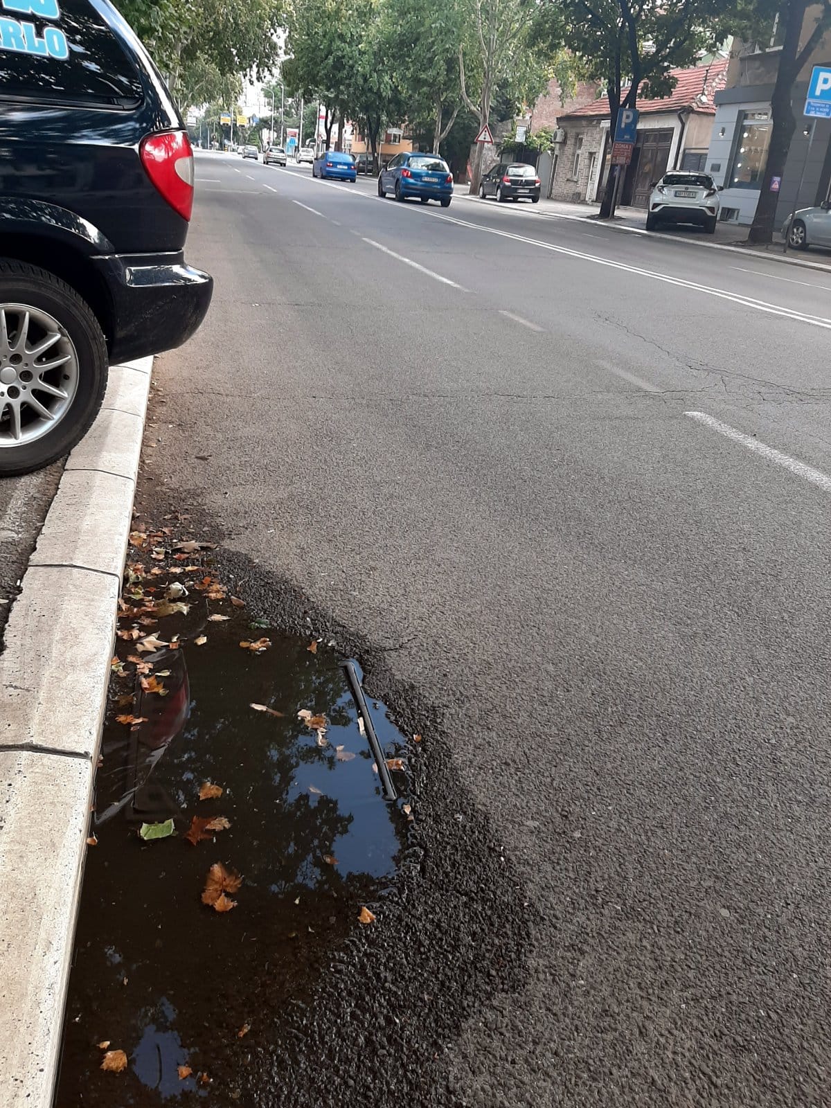 Zapusen slivnik 10; foto: M. M