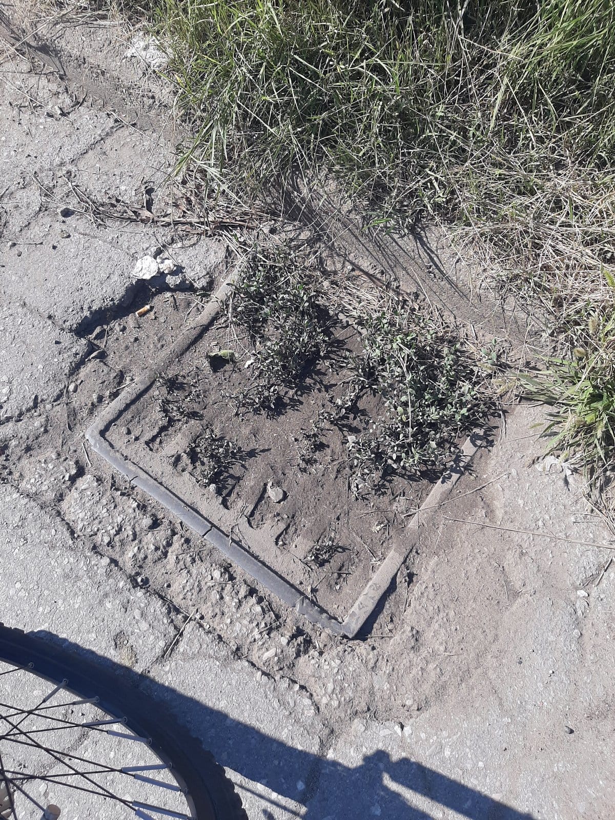 Zapusen slivnik 3; foto: M. M