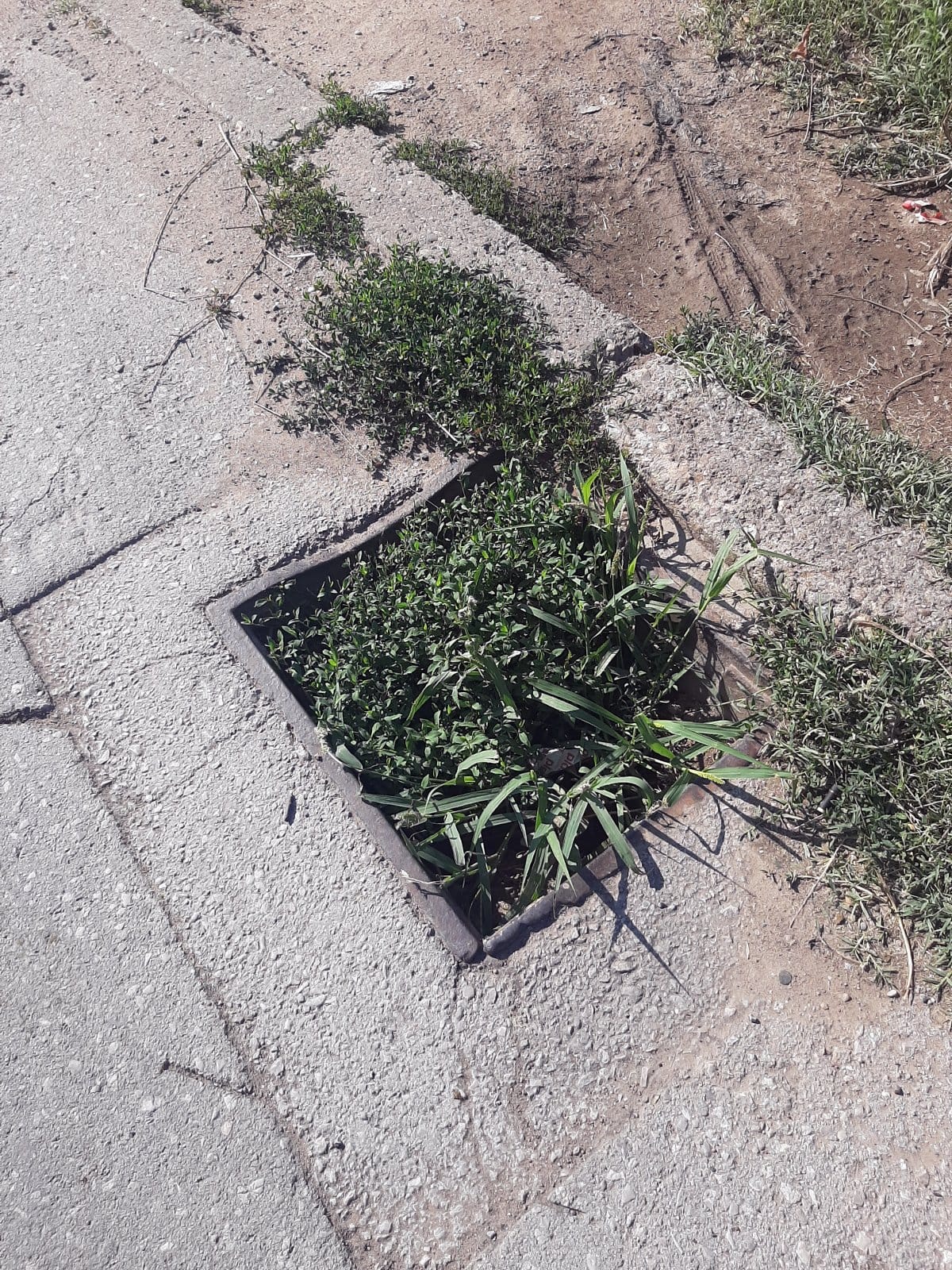 Zapusen slivnik 2; foto: M. M