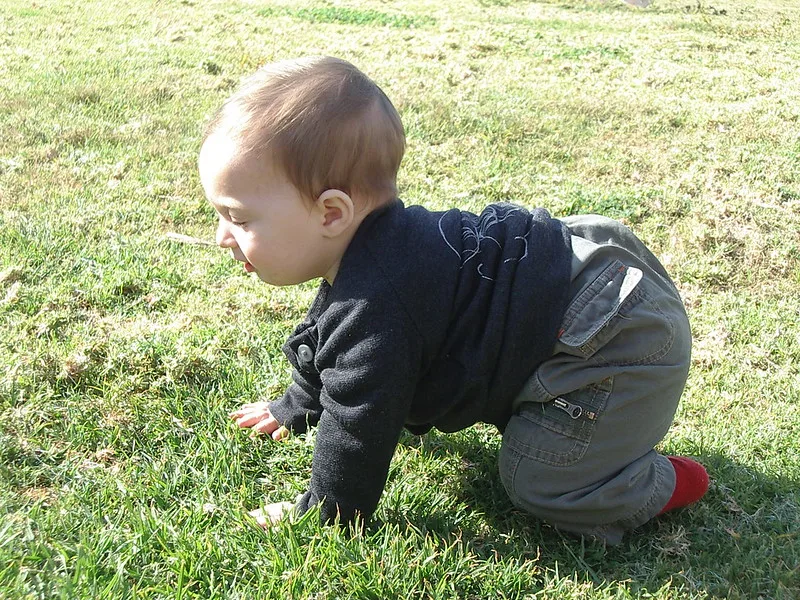 Puzijada i tribina o roditeljstvu u Nišu 3 beba puzanje foto flickr ella