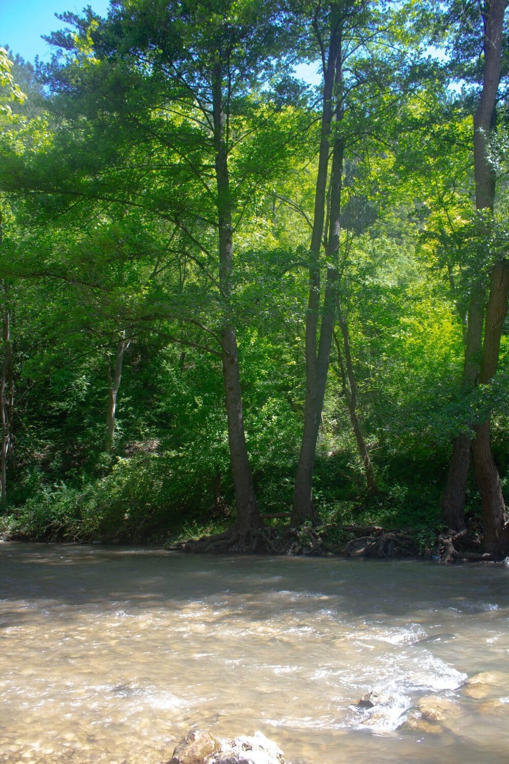 Moravica Sokobanja foto Milica Vujovic