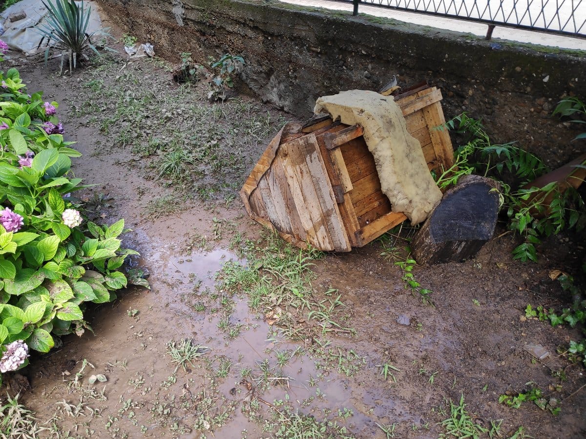 Dan nakon poplava 10, Palilula jul 2020; foto: JV