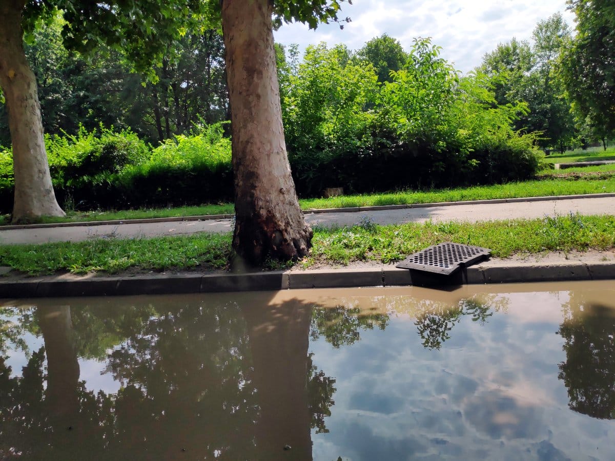 Dan nakon poplava 7, Palilula jul 2020; foto: JV