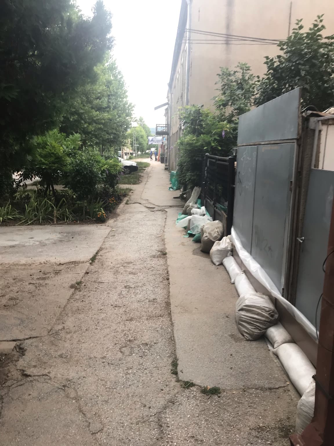 palilula, dzakovi ispred kuca foto citalac 1