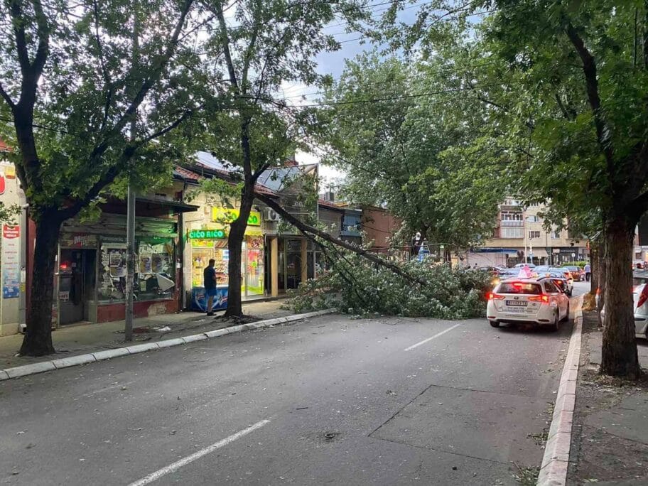 Vetar odlomio granu sa drveta, blokiran deo ulice u Nišu 14 Drvo citalac