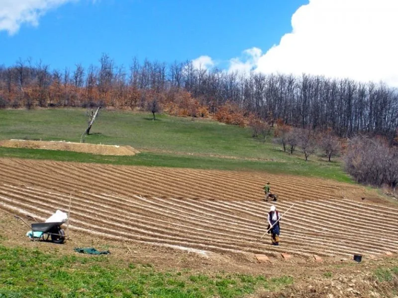 poljoprivreda ilu 06