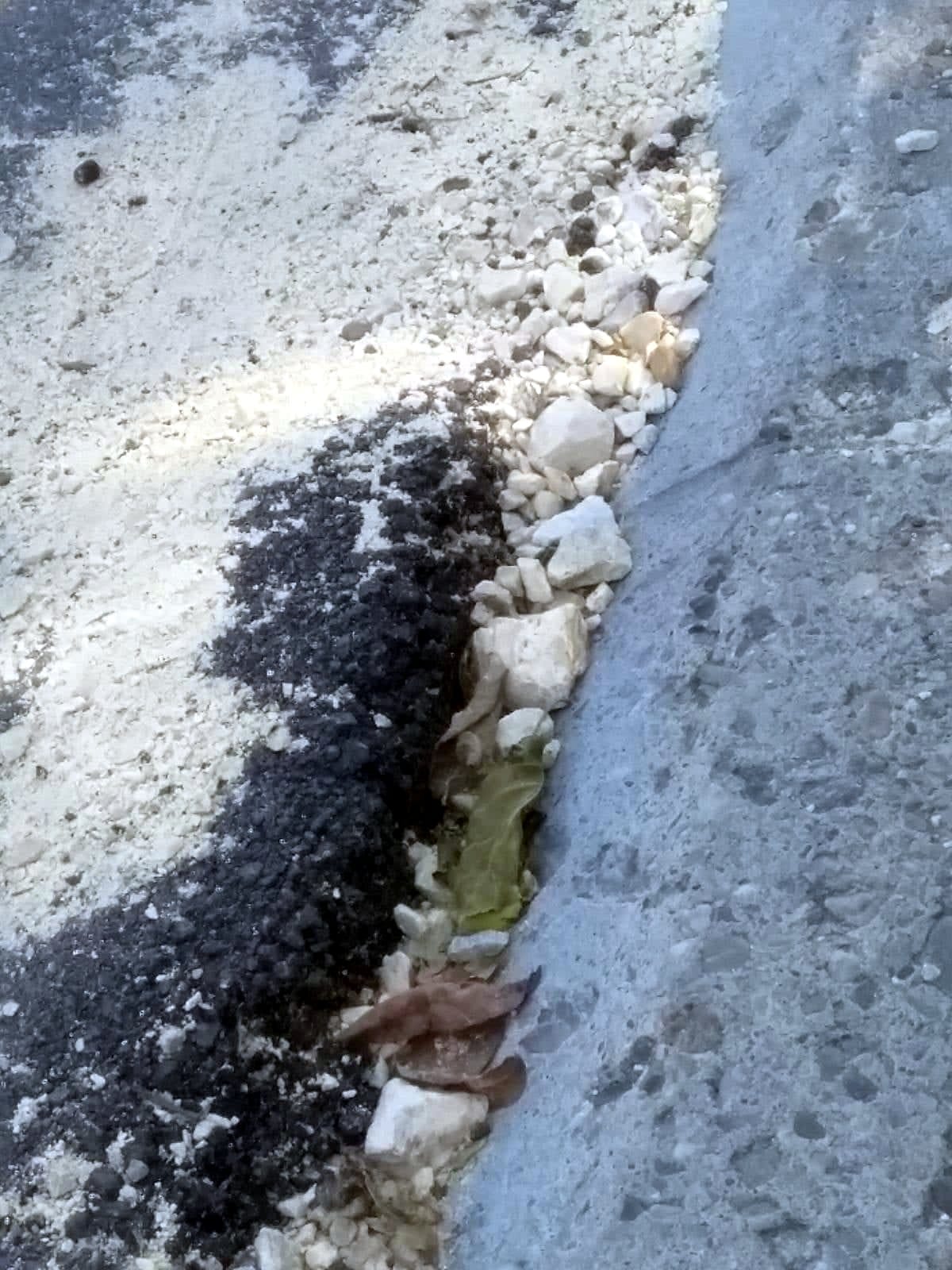 Njegoseva nema radnika4; foto: citalac