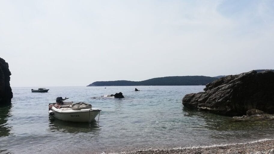 113697704 img 20190901 132303