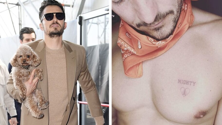 113571491 bloomcomp1