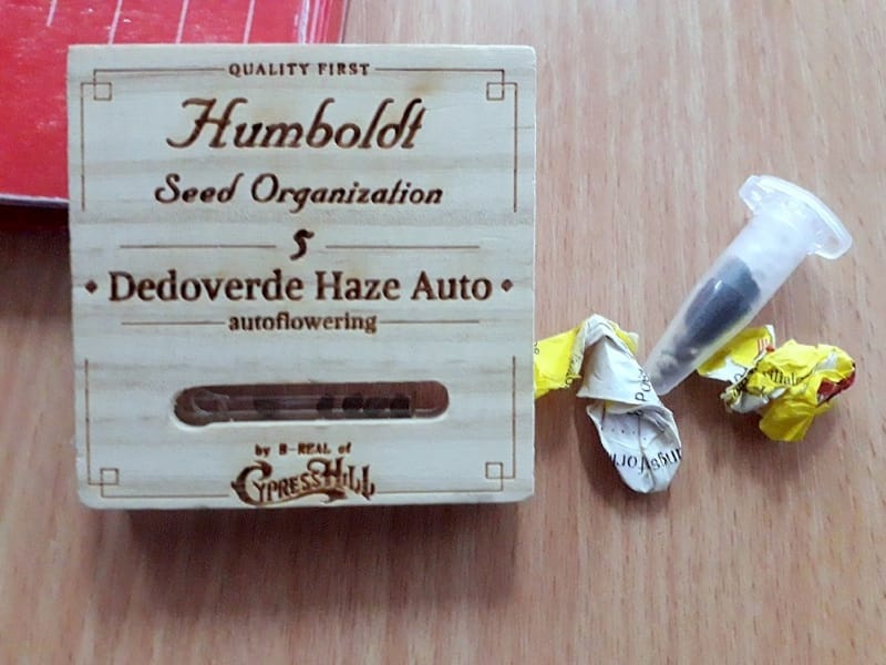 seme konoplje pronadjeno na Gradini