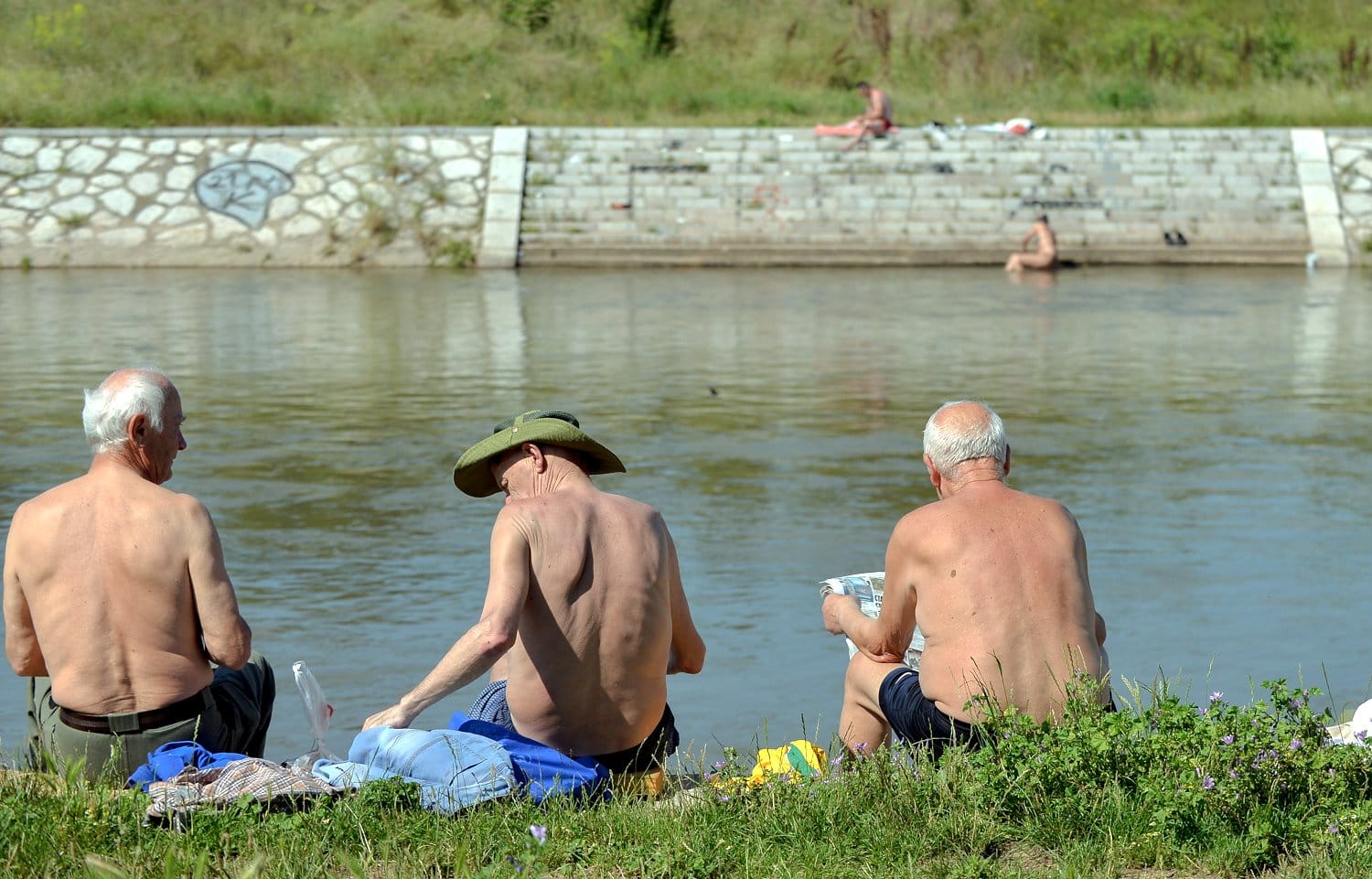 Nisava korona; foto: Vanja Keser