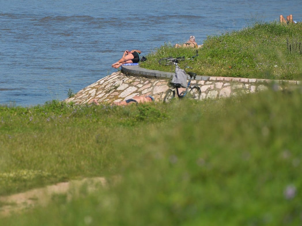 Nisava korona 2; foto: Vanja Keser