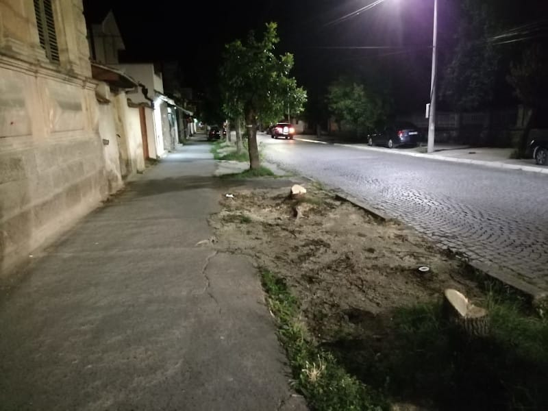 116582647 889044814953144 2305128394444873619 n