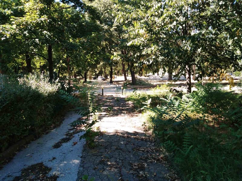 116918472 1603940456451121 8208636186455131258 n 1