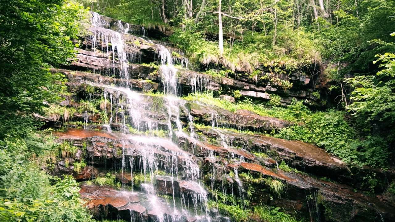 stara planina foto ljubomir filipov