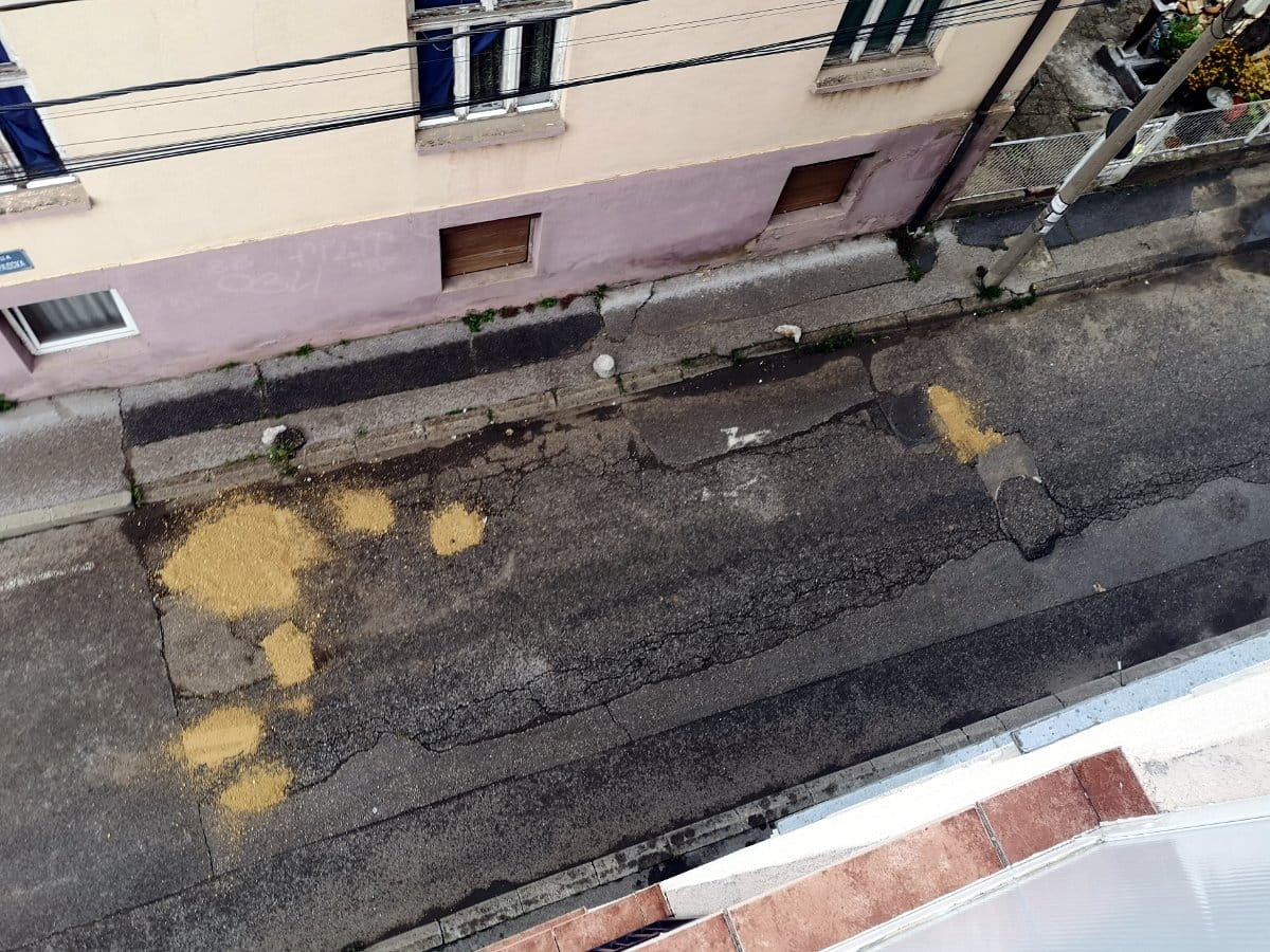 Stanka Vlasotinčanina i Deligradska; foto: čitalac