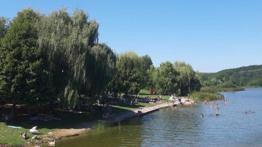 113821925 angelinapopovicbrujekupaciilabudovi