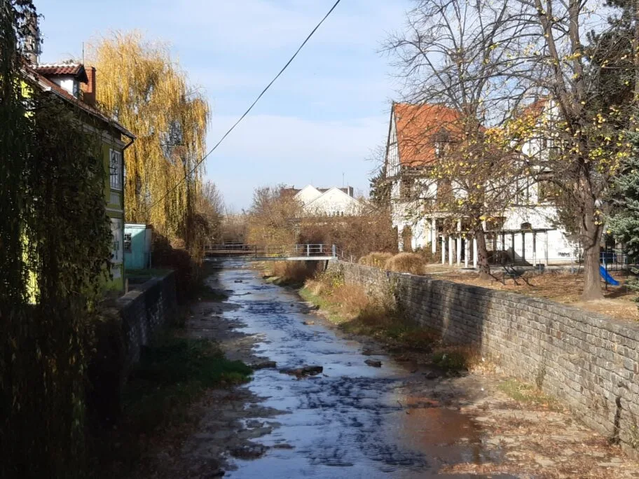 Vucje 4 novembar 2019 foto Bojana Stamenkovic