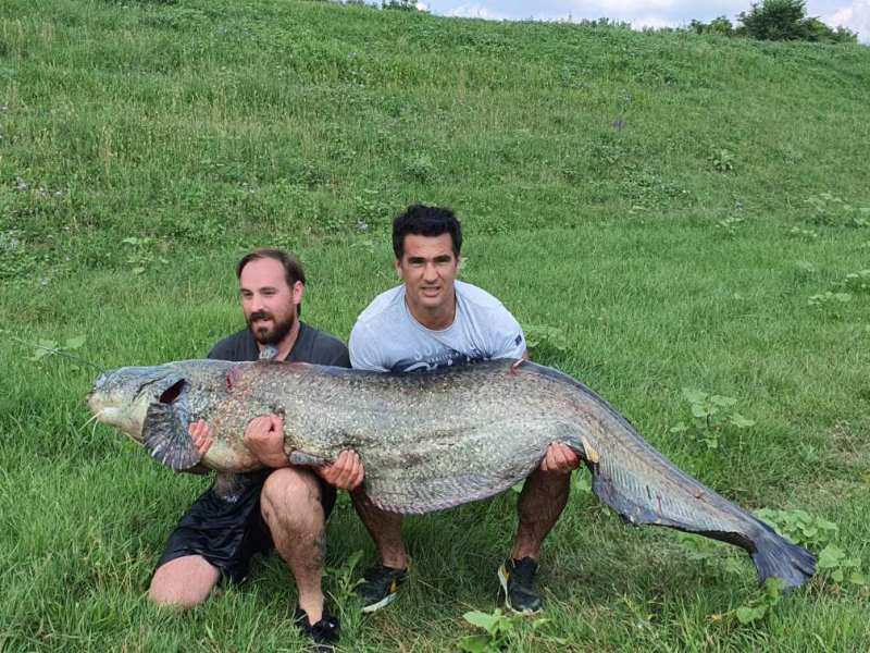 IMG-aaf5b38a76079e1b49fa08d3450843fa-V